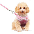 Cute Dog Harness Leashes Walking Dog Chest Harness